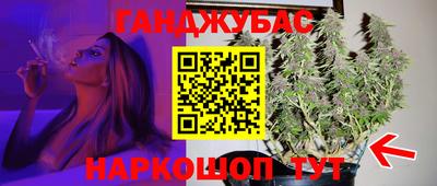индика Кизляр
